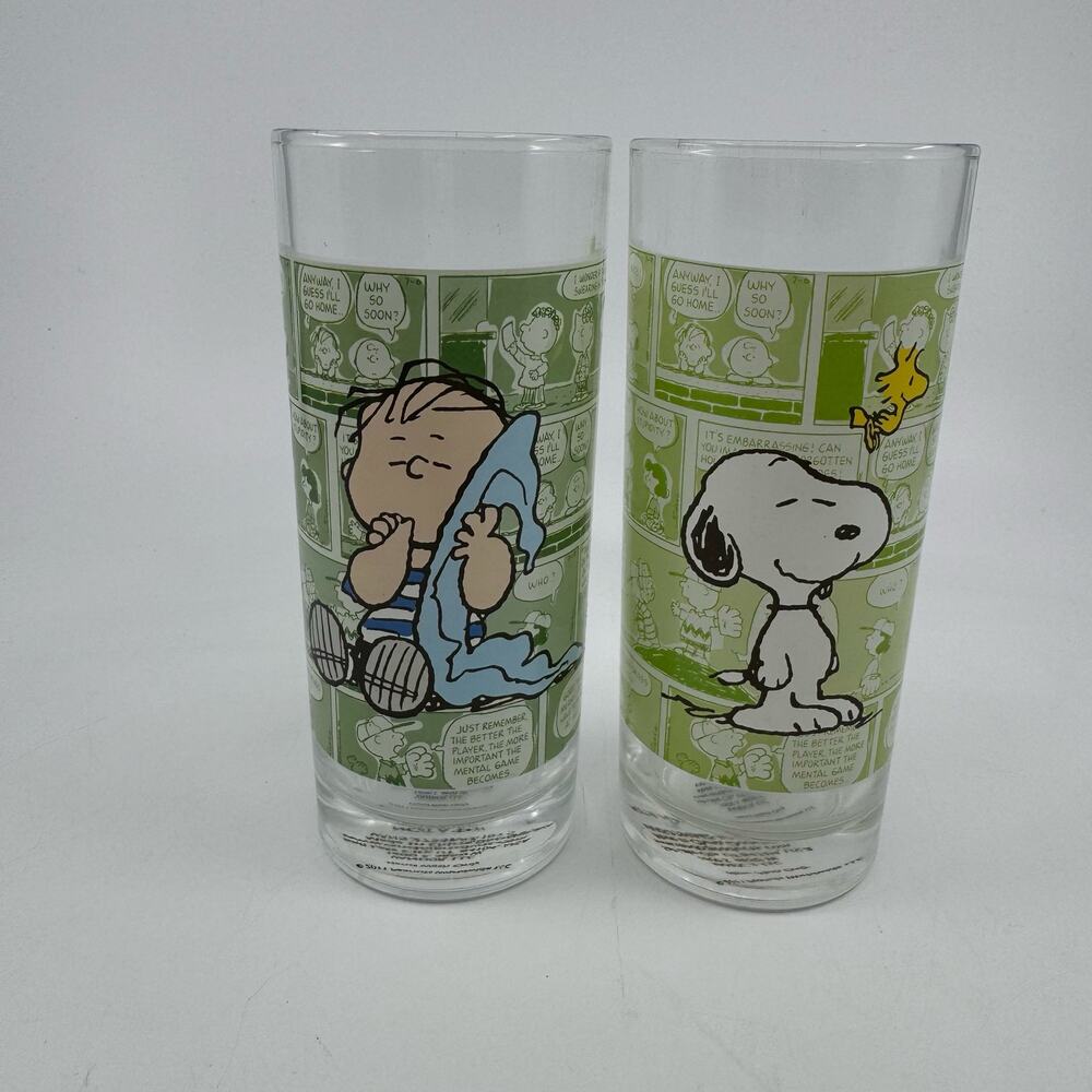 Peanuts Snoopy Woodstock Glass Tumbler Set of 2 Vandor 2011 Character Cups
